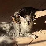 Pstina * Slap ob Idrijci