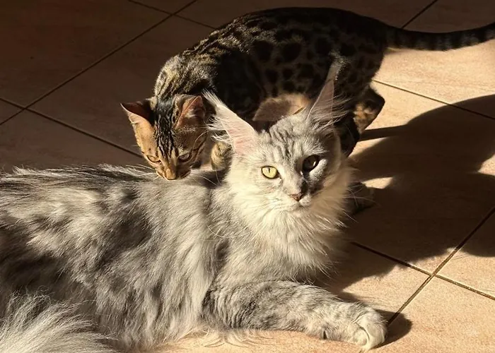 Pstina * Slap ob Idrijci