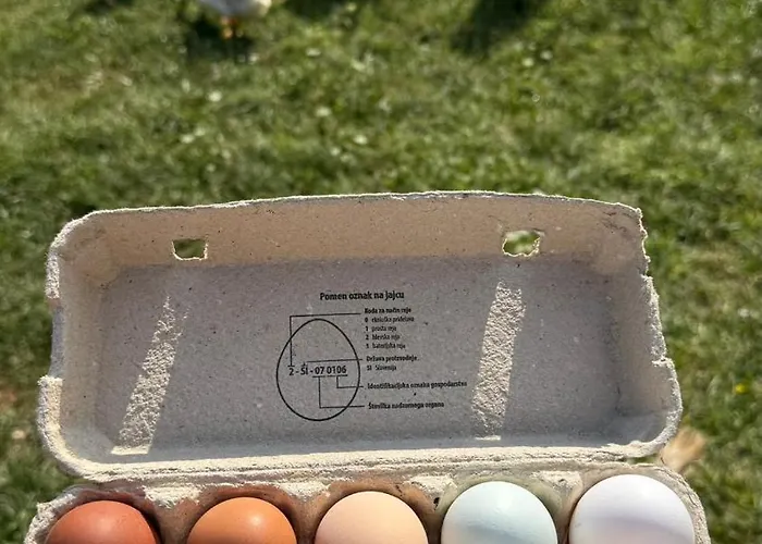 Pstina مزرعة للإقامة